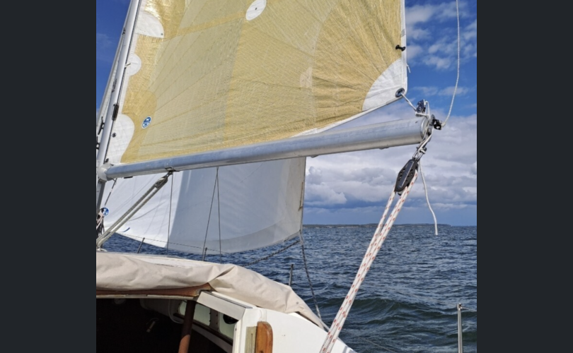 Muu merkki 31-kuva-4